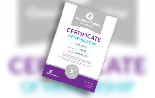 constructionline silver